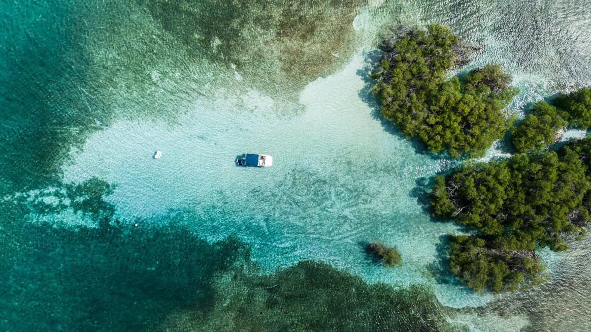 La Parguera Bioluminescent Bay Kayak Tour