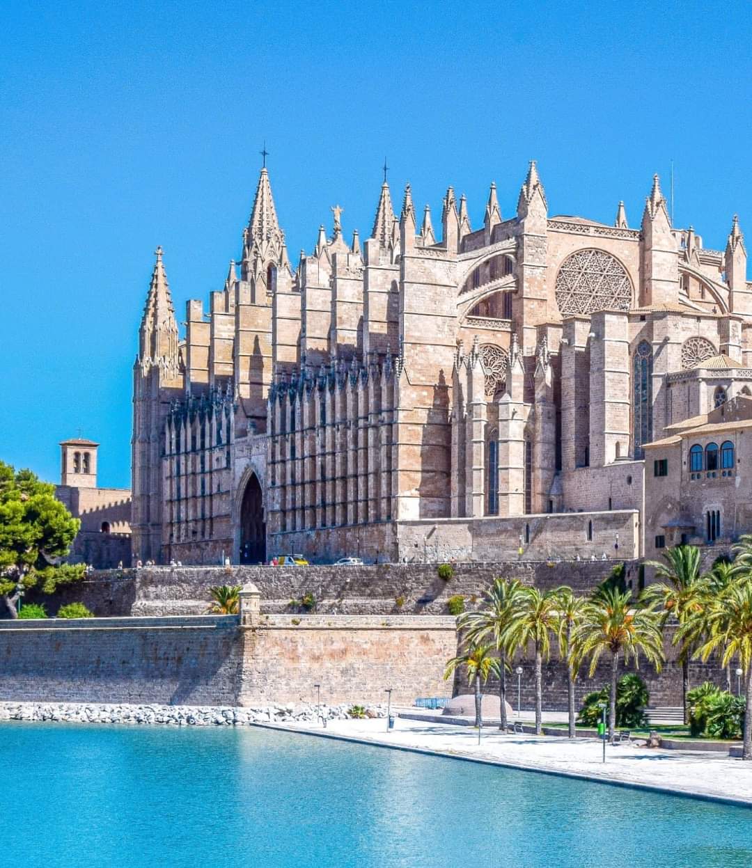 La Seu Cathedral