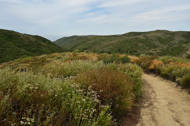 Laguna Coast Wilderness Park Short Hike
