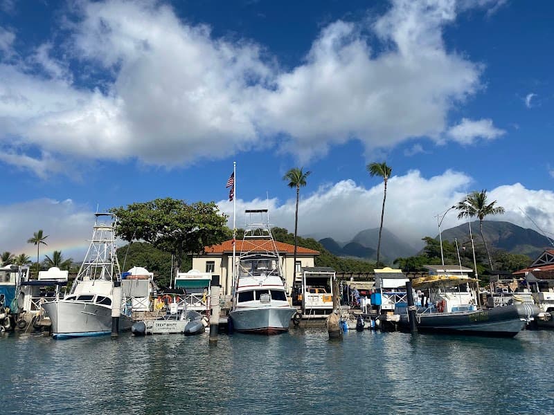 Lahaina Harbor Sunset Walk