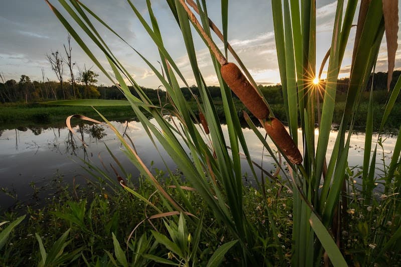 Lake Conestee Nature Preserve