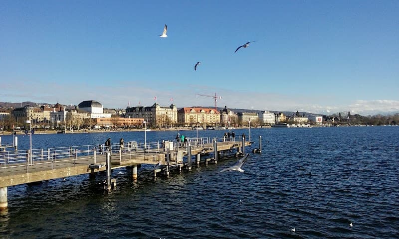 Lake Zürich Kayaking (Bürkliplatz / Enge Shore)