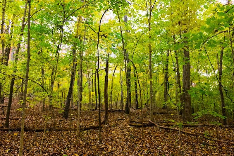 Land Trust of North Alabama – Green Mountain Nature Preserve (Optional)