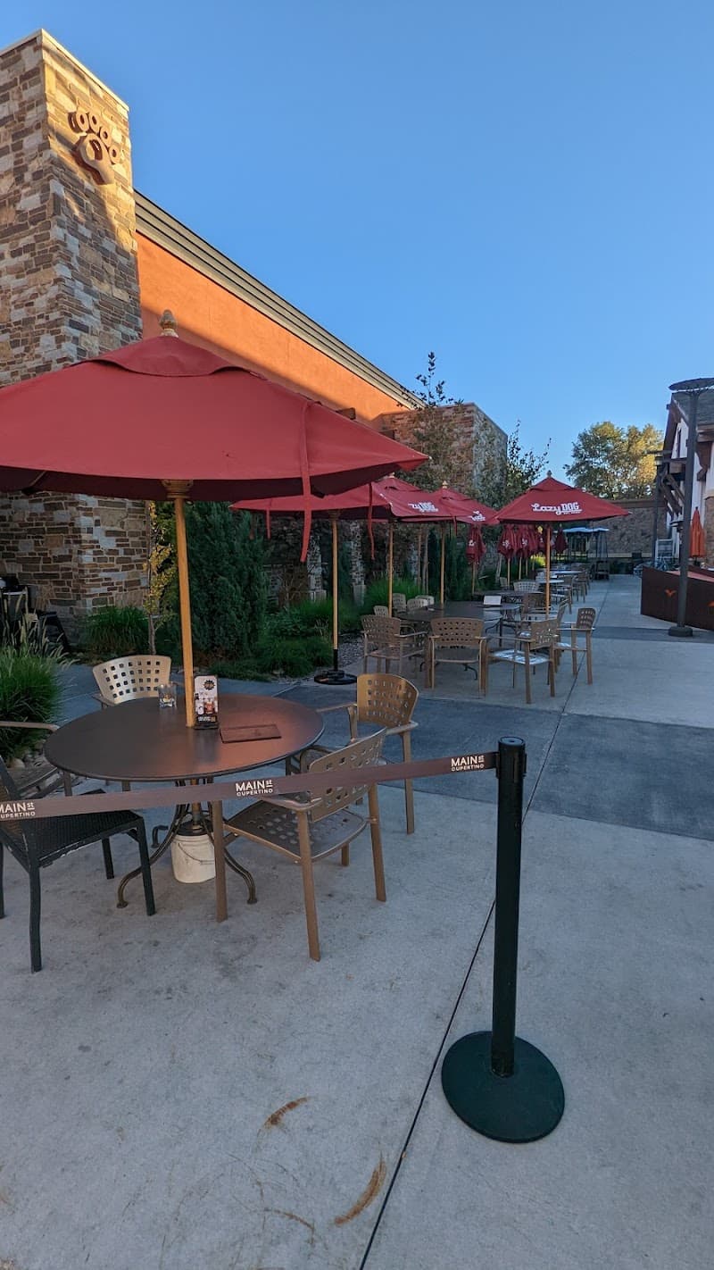 Lazy Dog Restaurant & Bar – Cupertino