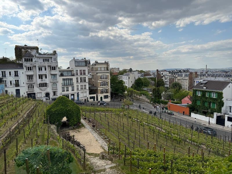 Le Marais Food and Wine Walk