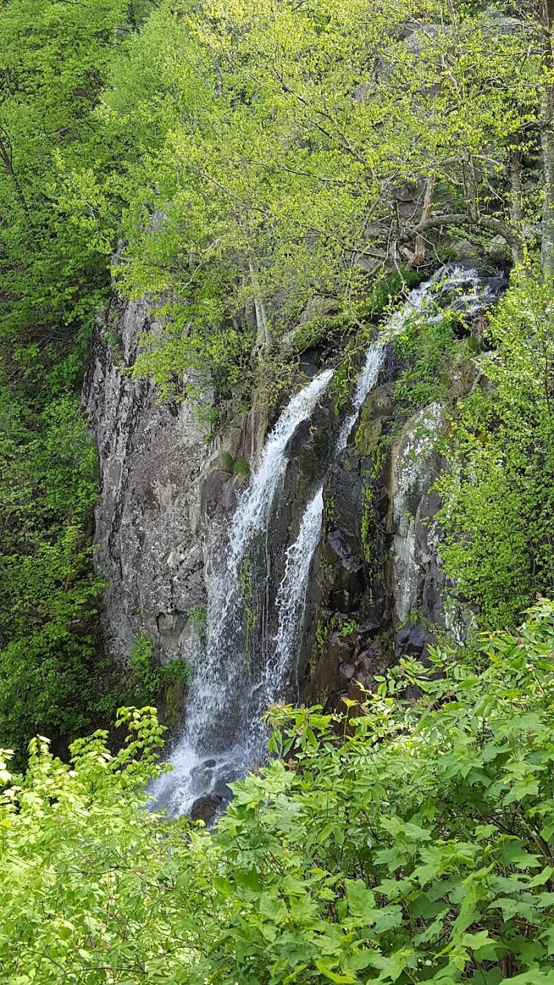 Lewis Falls Trail