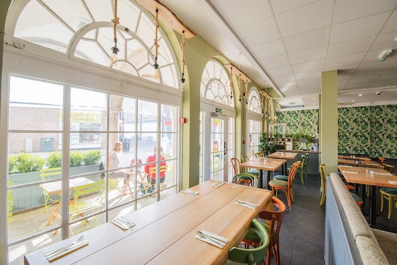 Light Lunch at The Veg Box Café or Similar