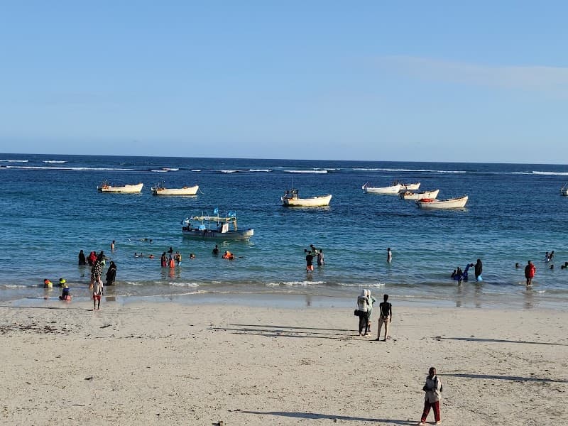Mogadishu Relaxed Coastal Escape with Jungle-Wild Energy