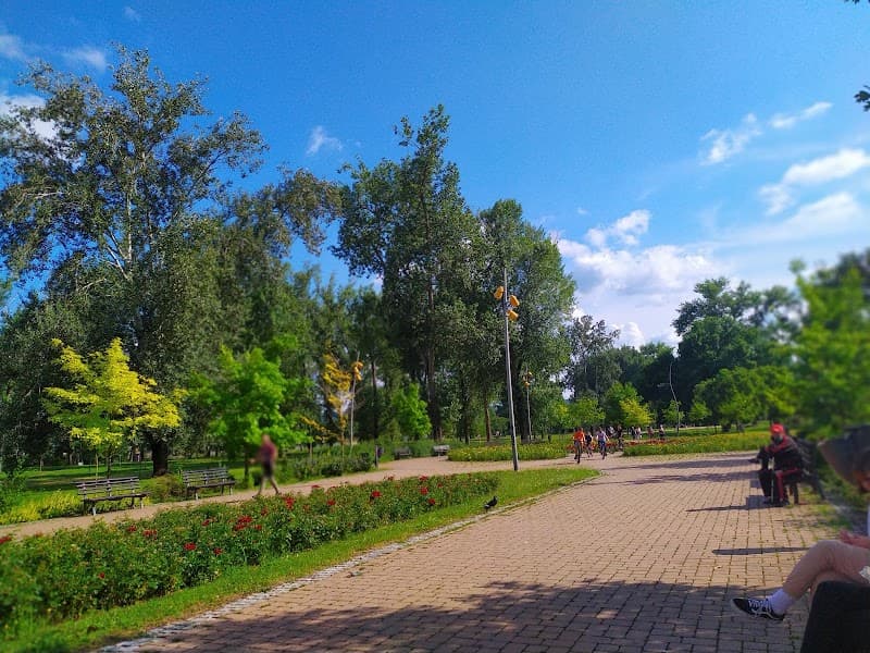 Liman Park & Danube Promenade Walk