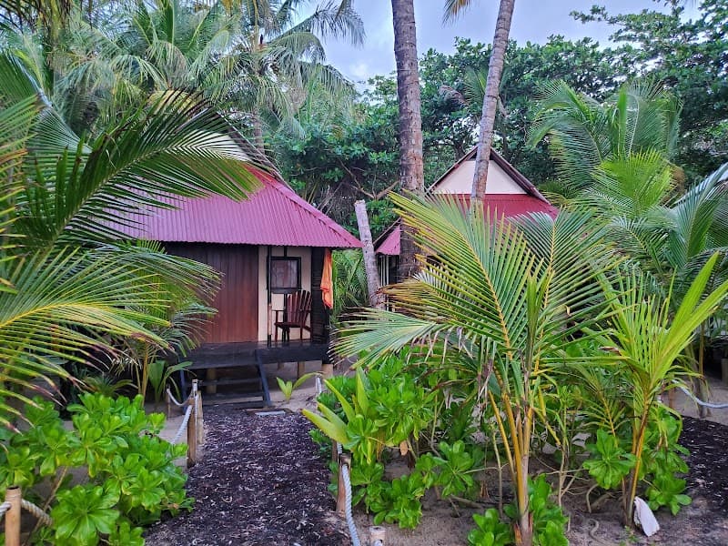 Romantic Jungle-Island Week on Little Corn