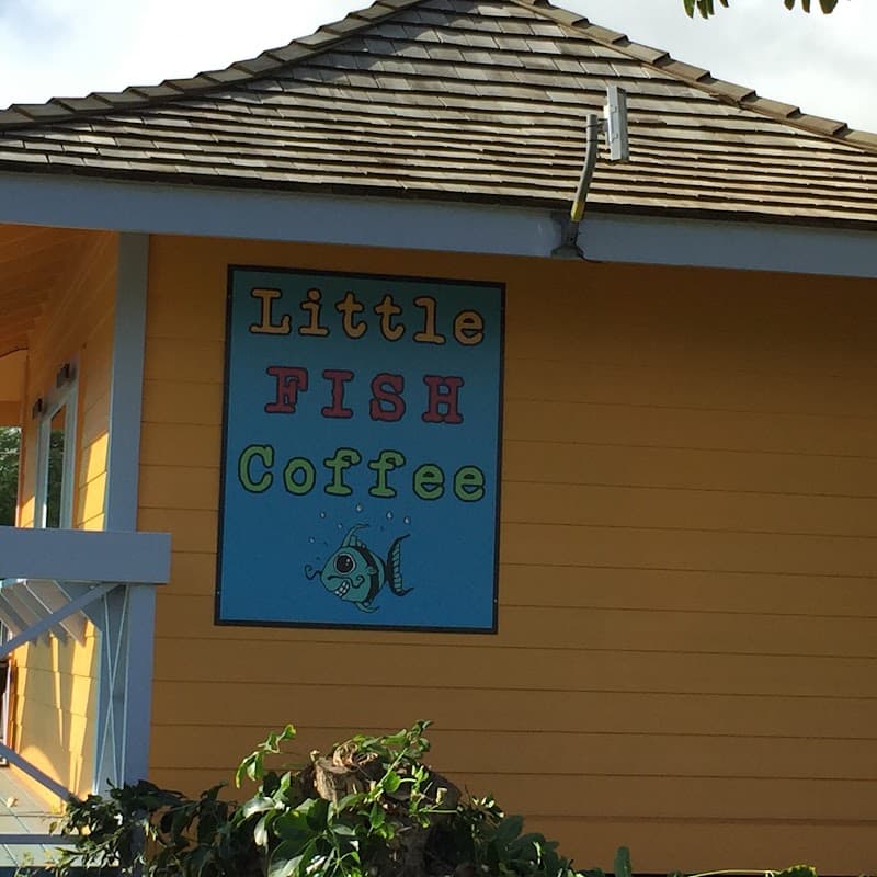 Rustic Kauai: Six Days of Wild Coast & Hidden Valleys