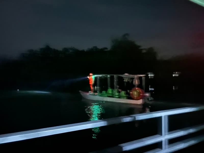 Loboc Firefly Watching (Boat or Kayak)