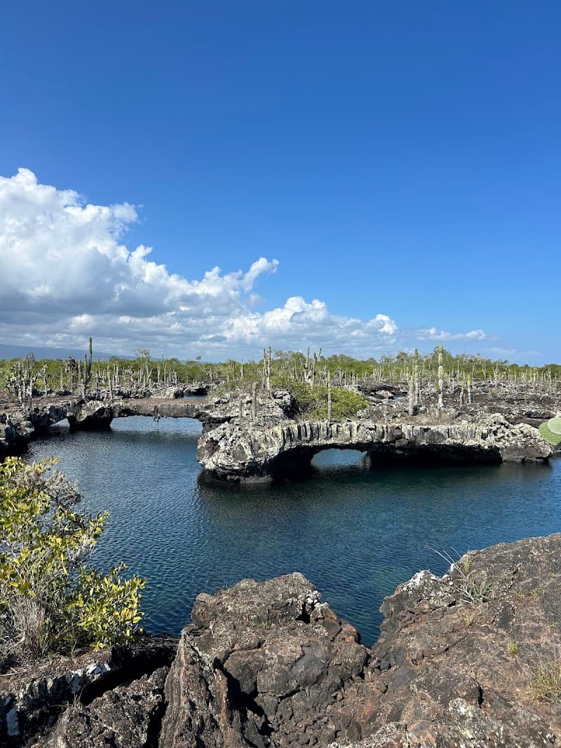 Los Tuneles Snorkeling Tour