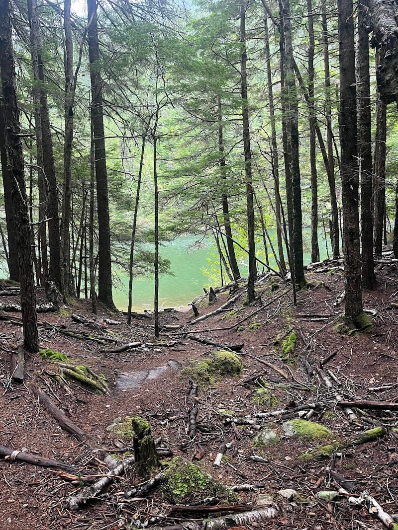 Lower Dewey Lake Trail