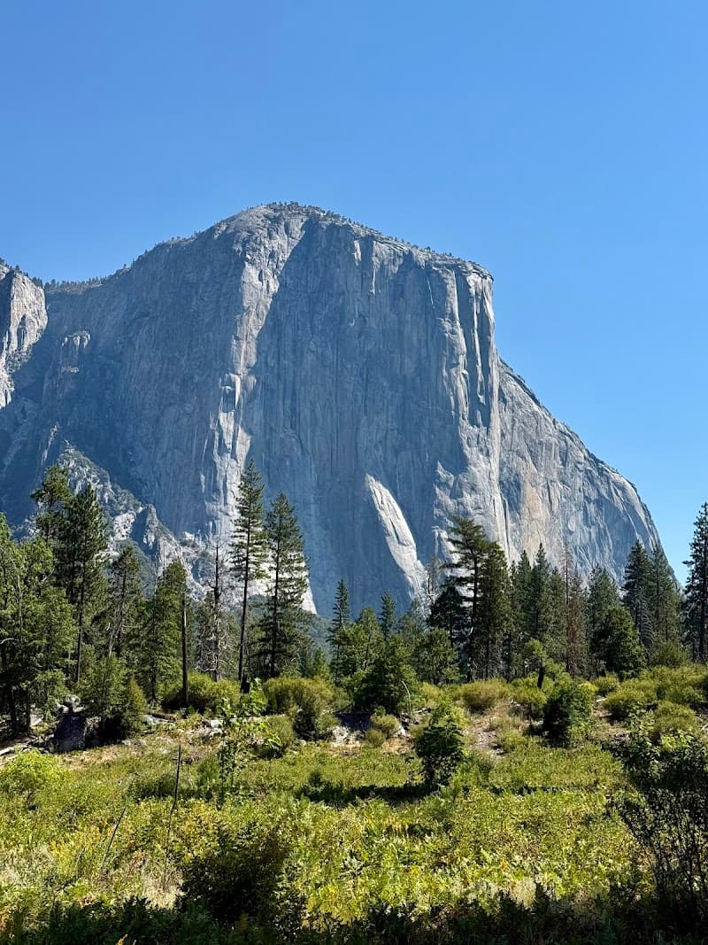 Lower Yosemite Fall Trail