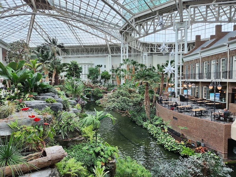 Lunch & Gardens at Gaylord Opryland Conservatory