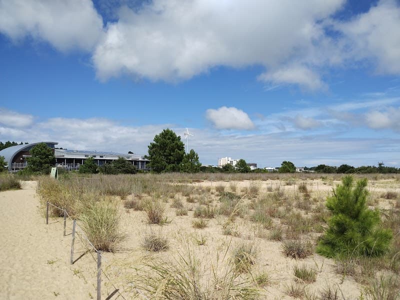 Lynnhaven River Marsh Views (Pleasure House Point Natural Area)
