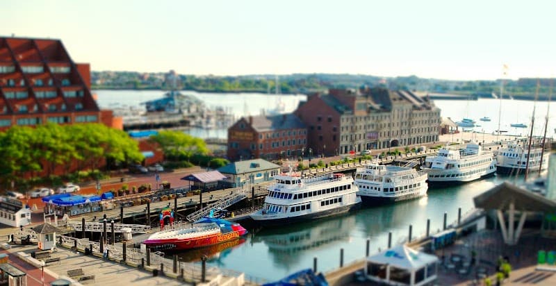 Boston Harbor Cruise