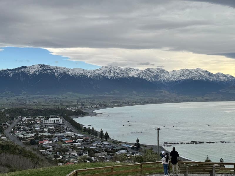 Māori Tours Kaikōura (Full-Day Experience)