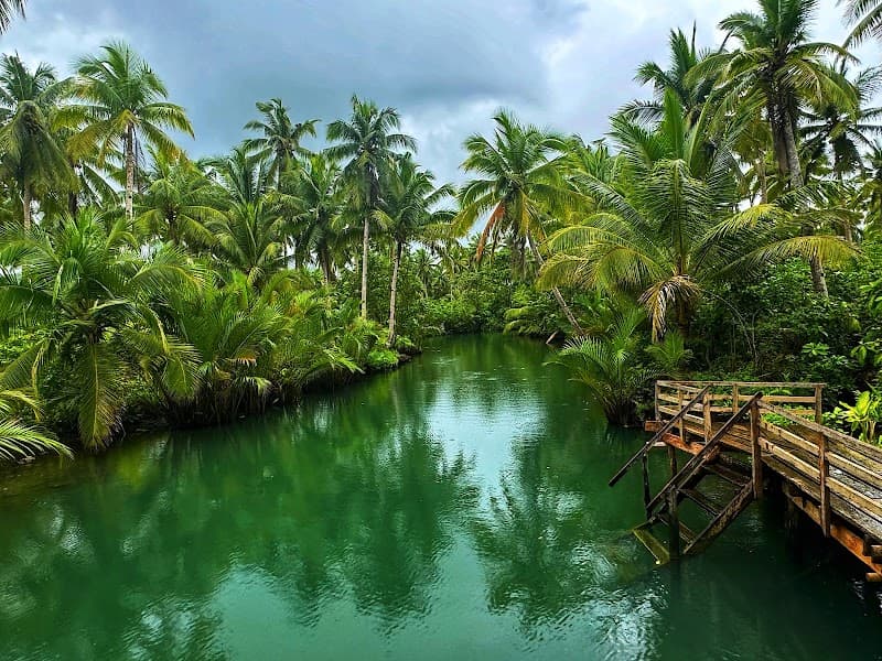Maasin River & Bent Palm Swing