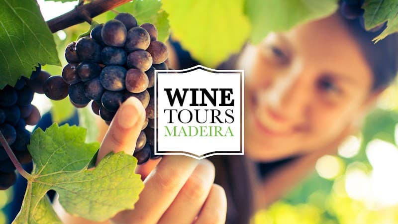 Madeira Wine Tasting Room (Wine Institute)
