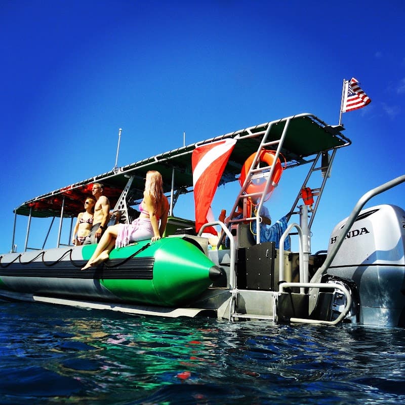 Magic Merman Snorkel Charter