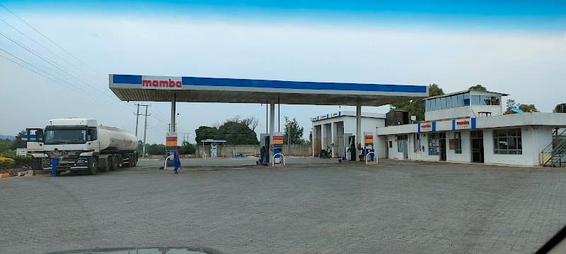 Mamba Foods Kisumu
