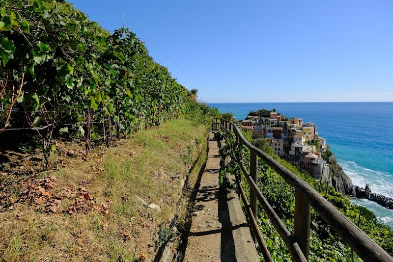 Manarola Waterfront Stroll