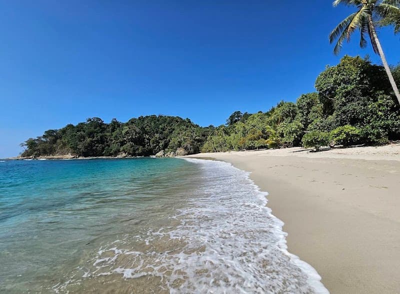 Manuel Antonio Beach Snorkel