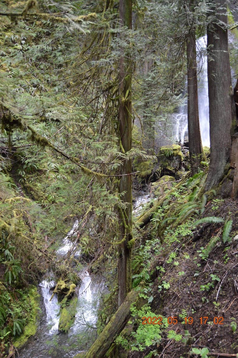 Marymere Falls Trail