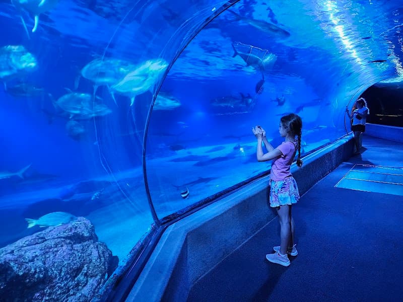 Maui Ocean Center