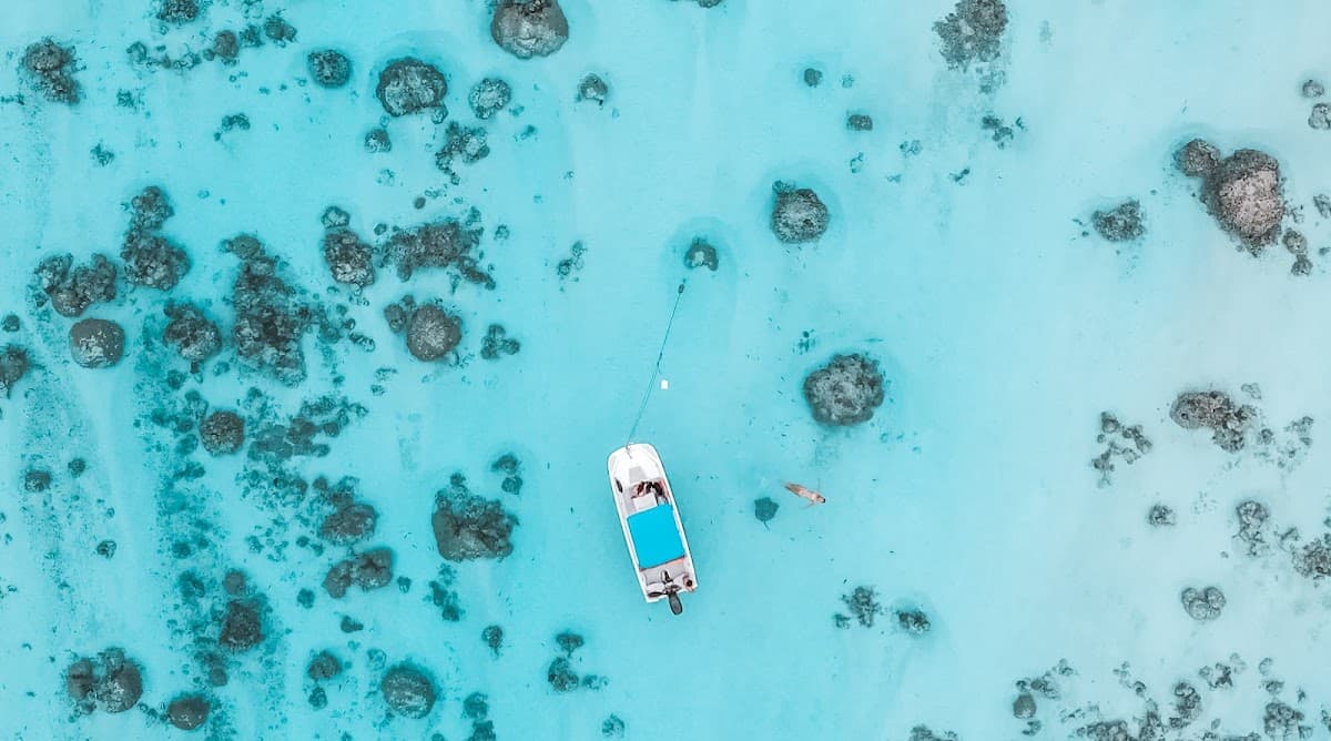 Mermaid Private Boat Tours