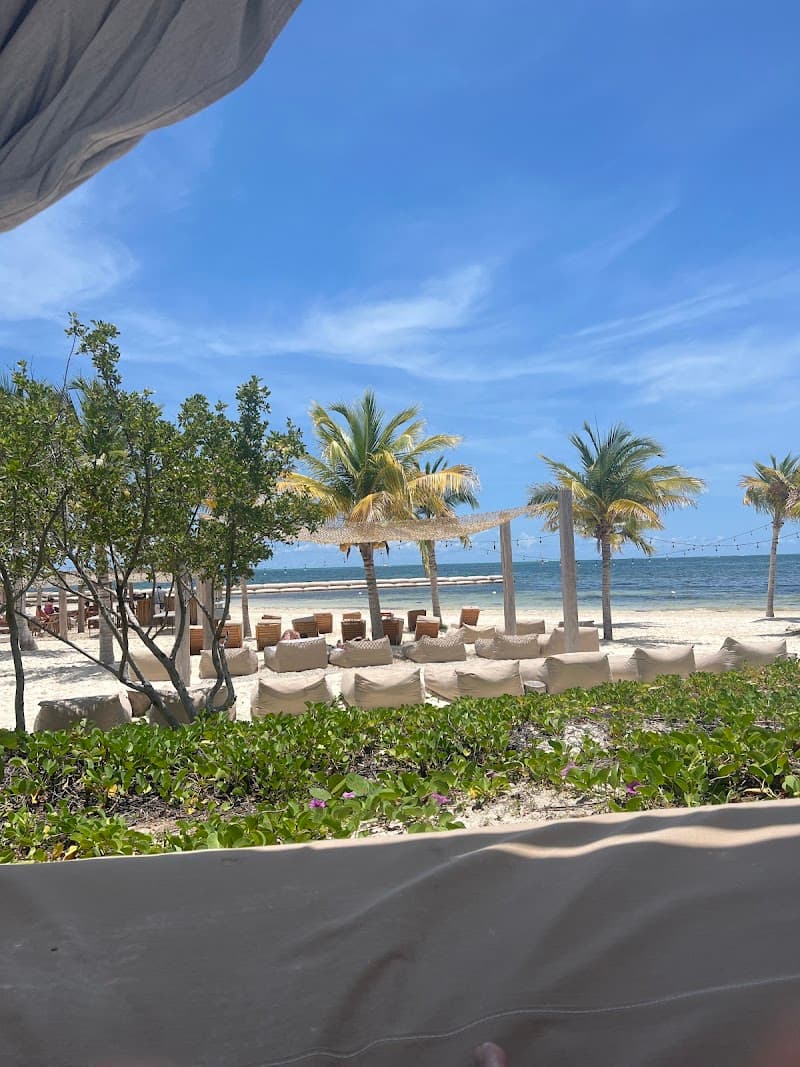 MeroToro Puerto Cancún