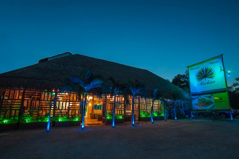 Mestizo Gallery Hotel
