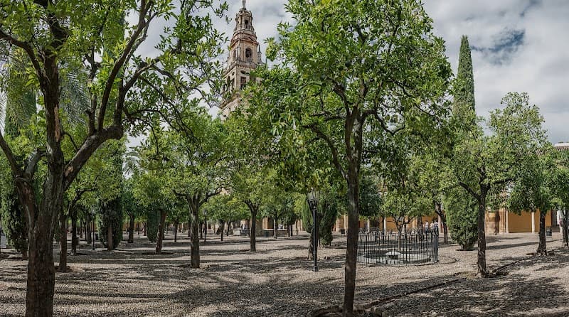 Mezquita-Catedral de Córdoba & Patio de los Naranjos