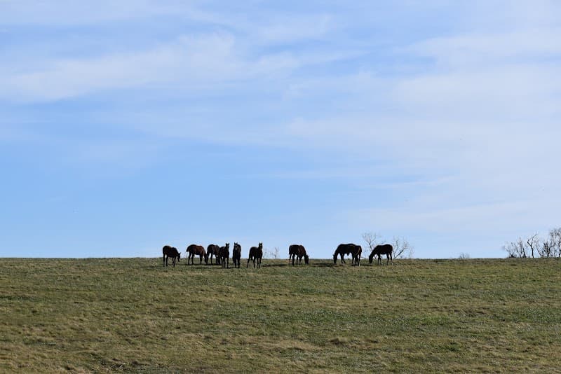 Mill Ridge Farm Tour