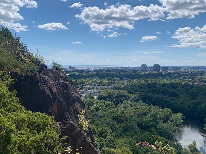 Mill River / East Rock Park Riverside Walk