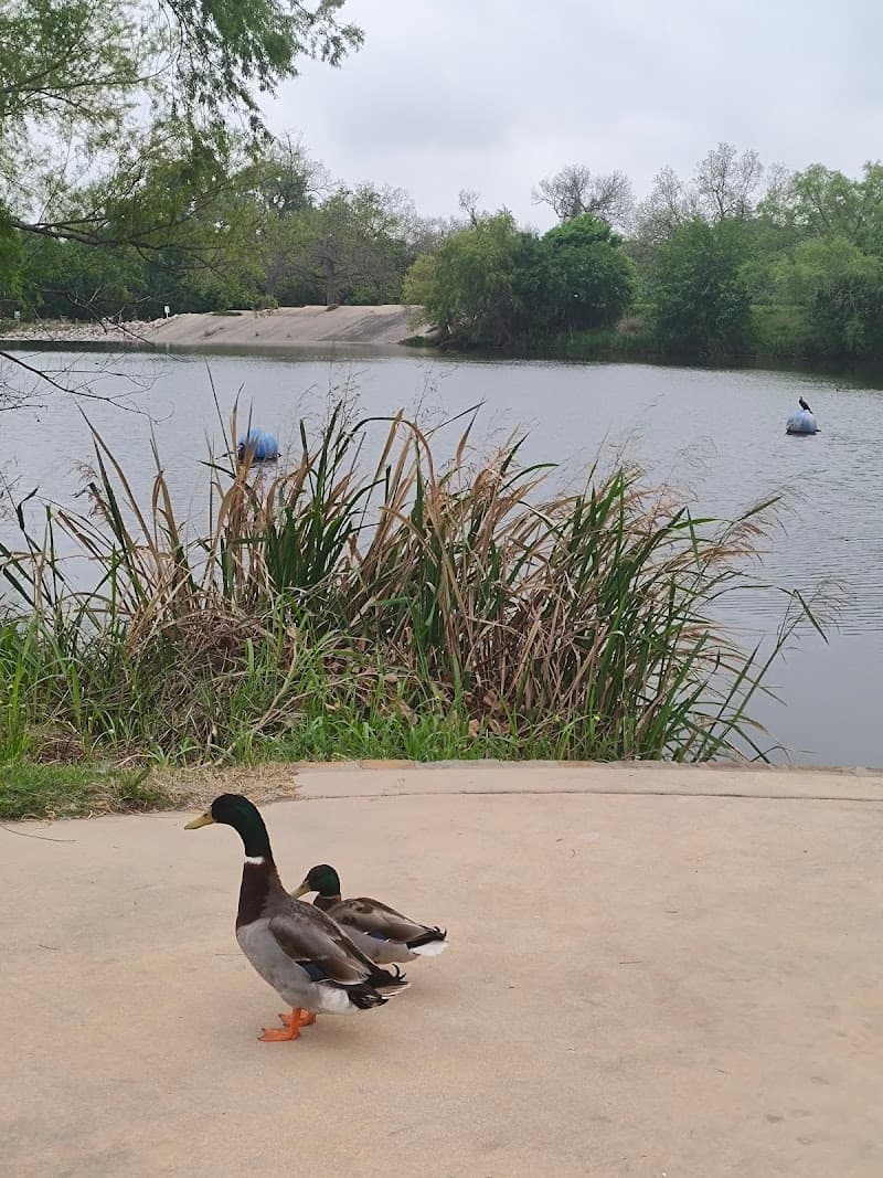 Mission Reach Kayaking (San Antonio River)