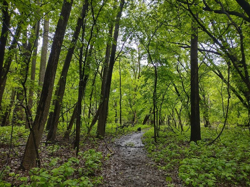 Mississippi River & Crosby Farm Regional Park