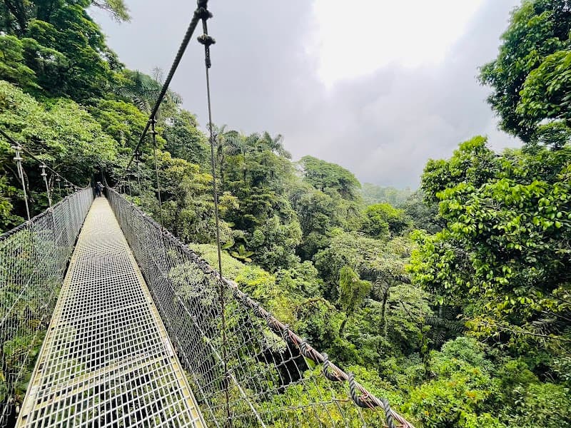 Mistico Arenal Hanging Bridges Park