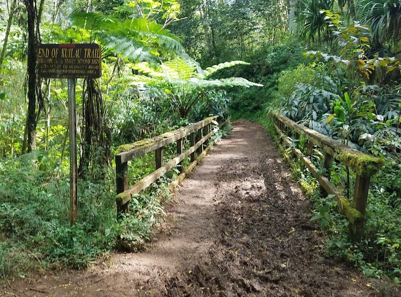Moʻalepe or Kuilau Ridge Trail (Choose One)