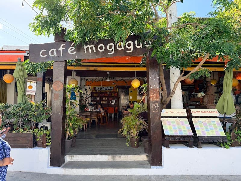 Three Serene Days on Isla Mujeres’ Wild Green Shores