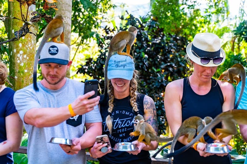 Monkeyland & Zipline