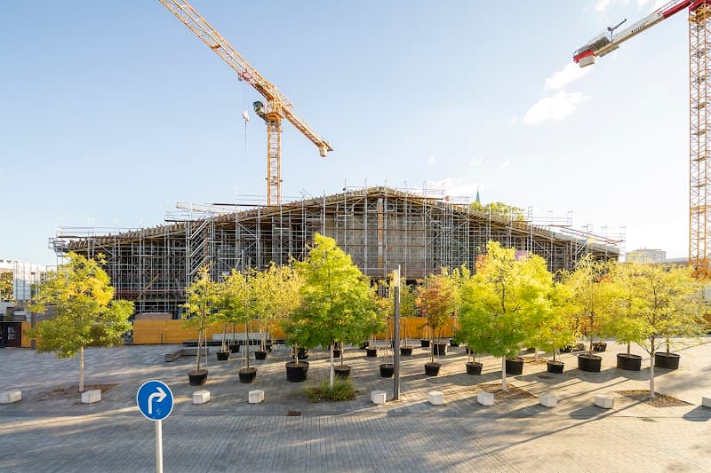 Monsoon (Vietnamese Modern)