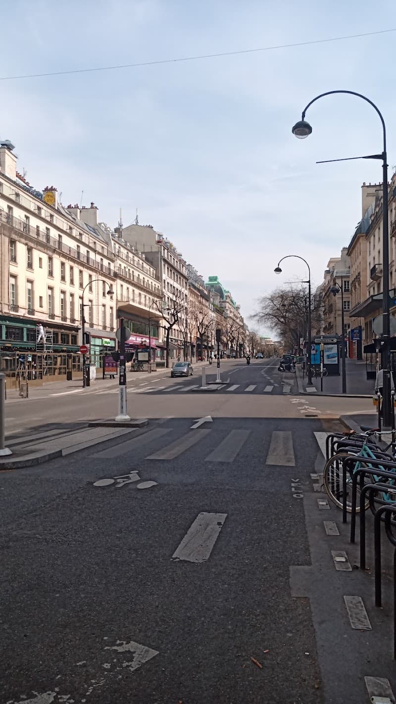 Montmartre Hill Walk