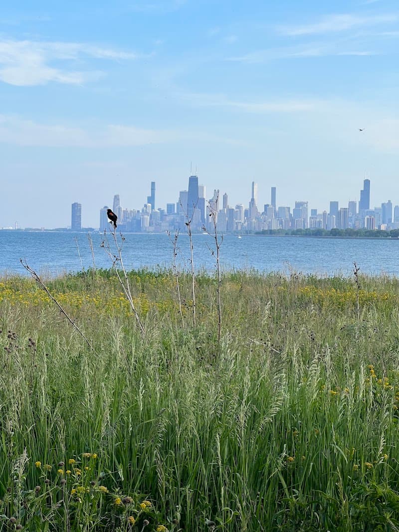 Montrose Point Bird Sanctuary & Beach