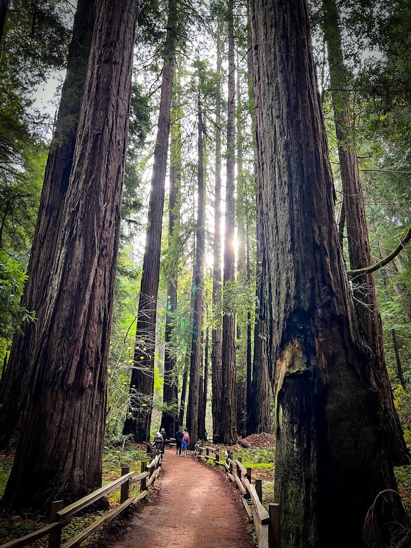 Muir Woods National Monument