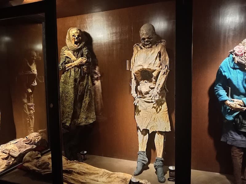 Mummy Museum