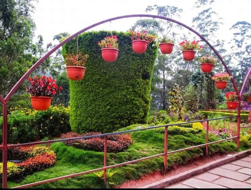 Munnar Jungle Romance: Tea Hills & Wild Green Escapes