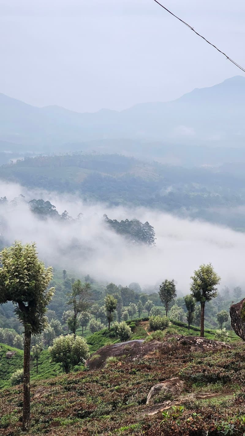Munnar Town Orientation Walk